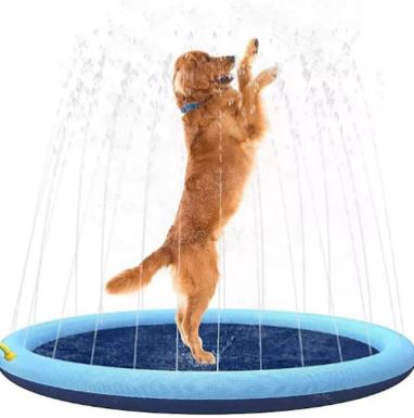 Wendell & Bone Foldable Pet Splash Pool
