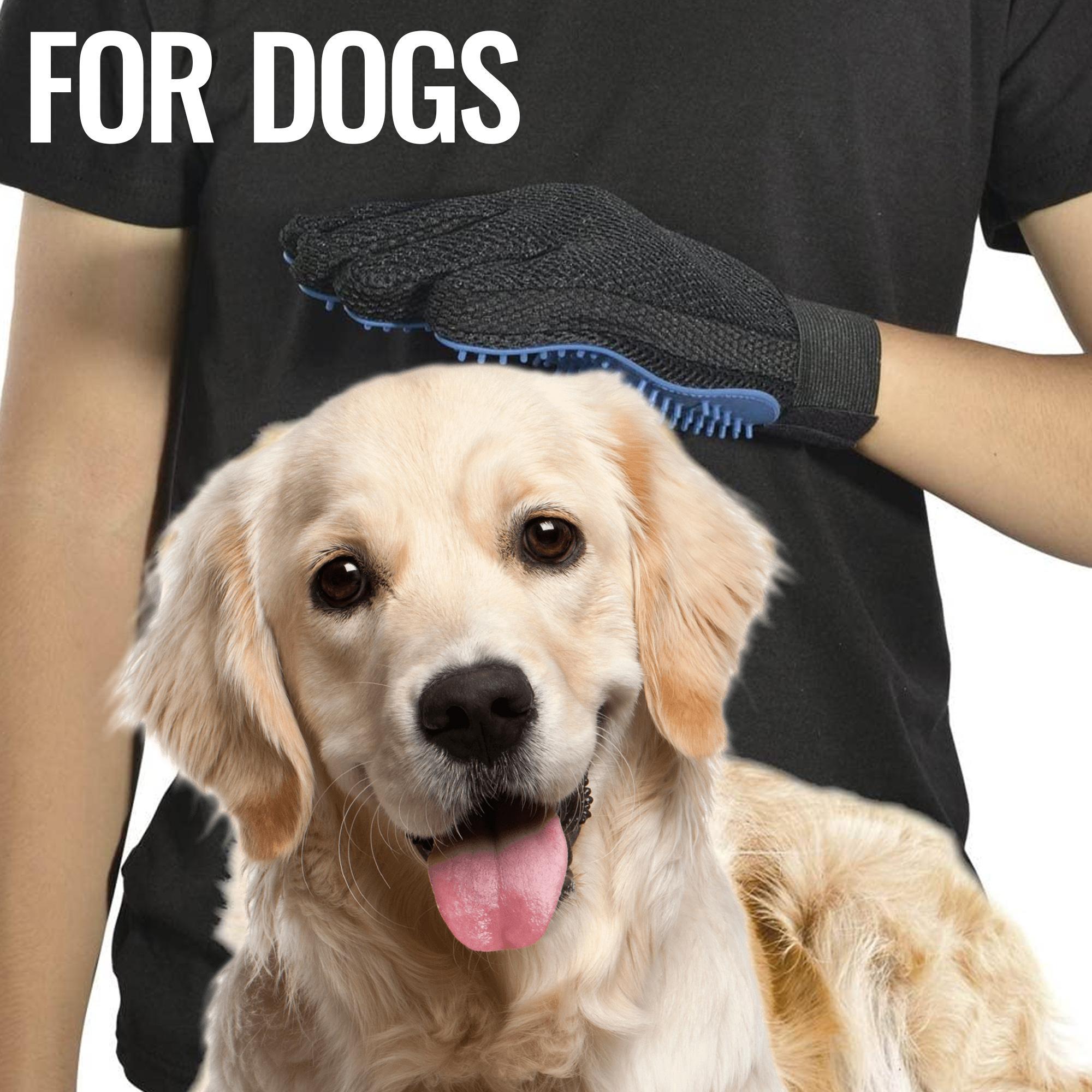 Wendell & Bone Deshedding Grooming Gloves (Pair)
